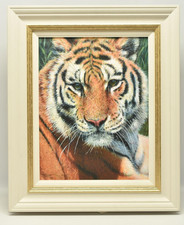 Tony Forrest “Wild Thing”