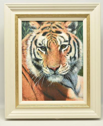Tony forrest wild thing - tony, “wild