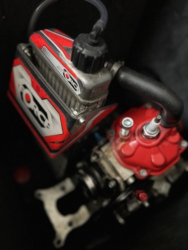 Kart racing rotax engine - rotax,