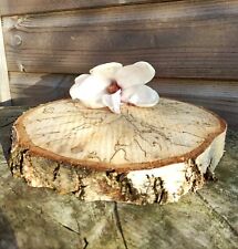 6-23CM Birch Wood Log Slices