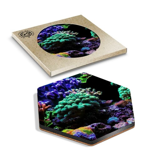Hexagon coaster pretty - hexagon,