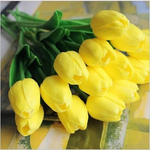 Scented shrub coronilla - shrub,,
