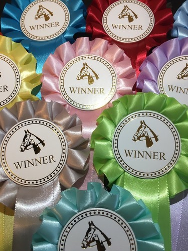 Tier horse head winner - x,
