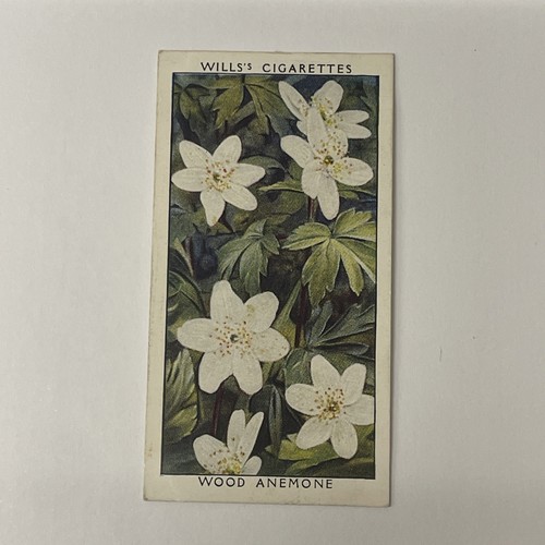 Will cigarette cards wild - cigarette,