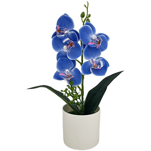 Phalaenopsis orchid faux - phalaenopsis,