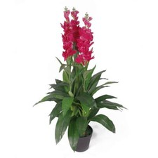 Large Artifical Orchid Plant