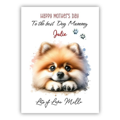 Pomeranian dog personalised - pomeranian,