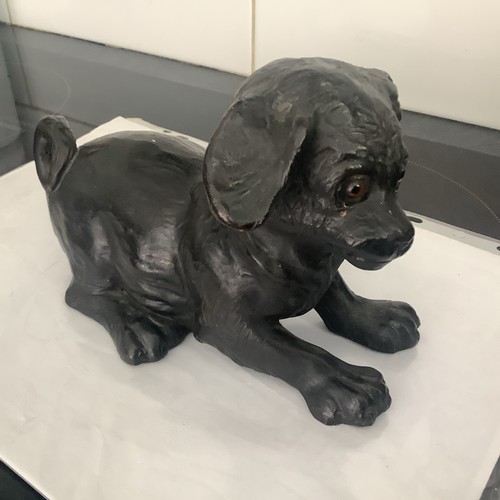 Vintage black labrador pup - labrador,