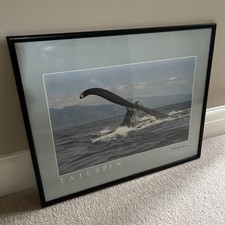 Vintage Black Frame Humpback Whale Picture Print Tailspin Gary Yountserman NEW