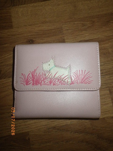 Bnwot small pink leather - bnwot,