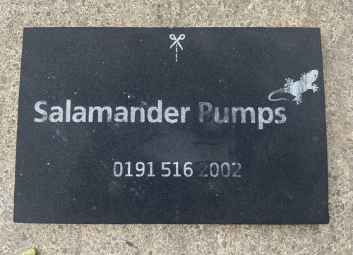 Salamander pumps shower pump - salamander,