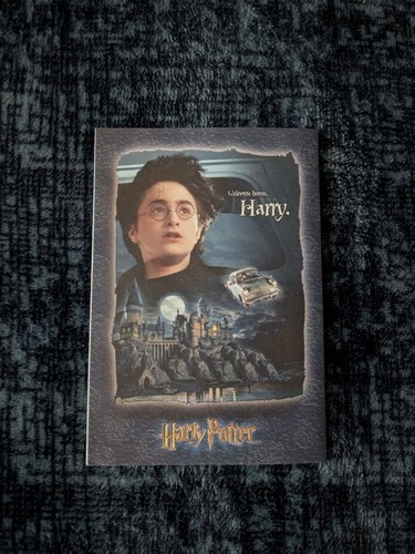 Harry potter postcard - harry,