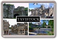 FRIDGE MAGNET - TAVISTOCK -