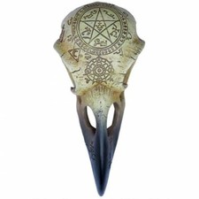 Alchemy omega raven - omega,