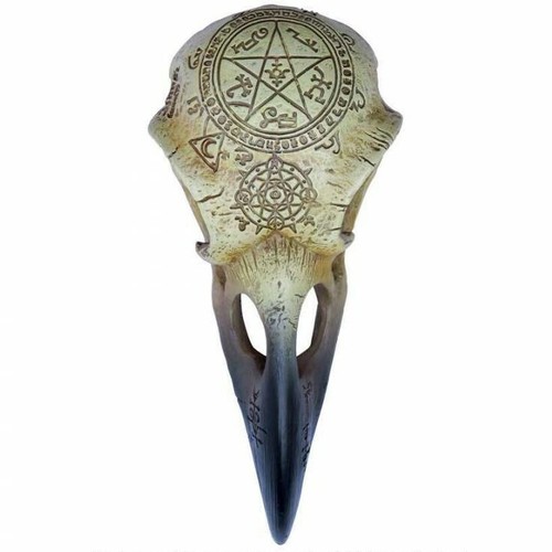 Alchemy omega raven - alchemy, skull