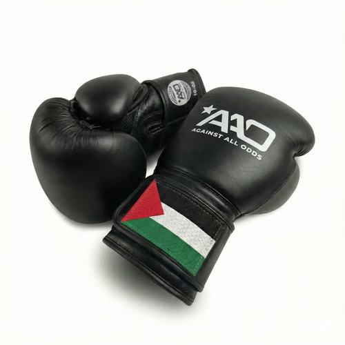 Palestine boxing gloves aao - |,
