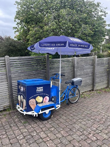Professional ice cream - professional,