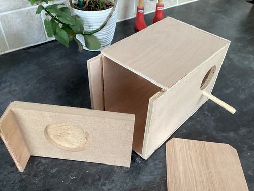 Budgie nest box 5 - budgie, 5”
