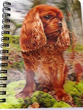 King Charles Cavalier Ruby 3D Notebook,  great birthday gift