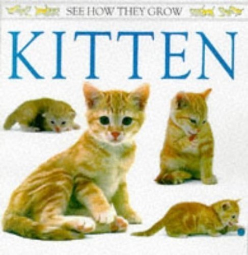 Kitten by - grow),