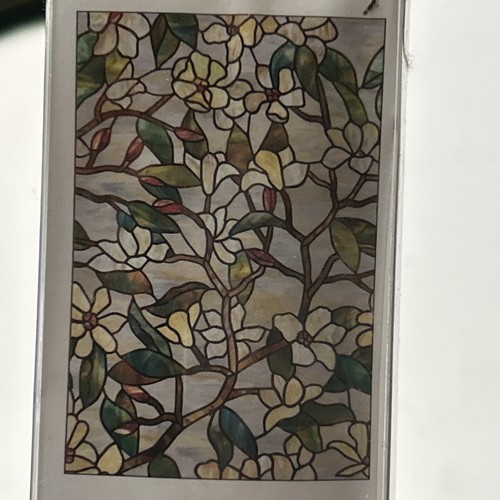 Artscape magnolia window - artscape, film