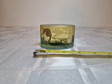 Vintage Sealife In Lucite Dome