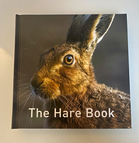 The hare book jane - jane, russ