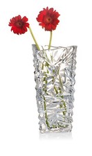 Crystal look heavy glass - crystal,