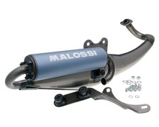 Exhaust Malossi flip for