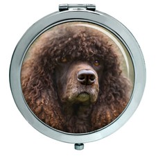 Irish Water Spaniel Compact