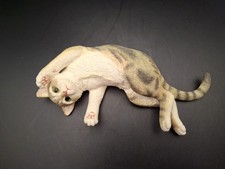 Country Artists Tabby Playful