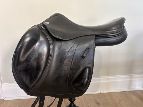 Harry dabbs platinum italiano - harry,