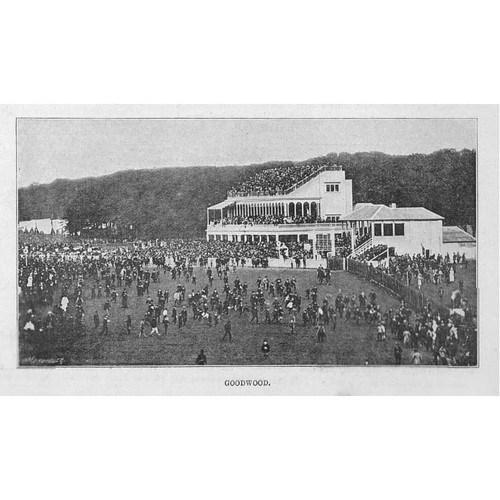 Goodwood racecourse antique - racecourse,