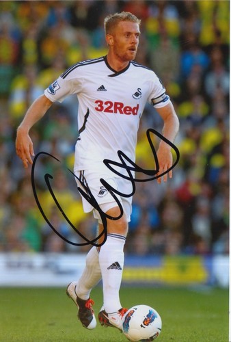 Swansea city hand - swansea,