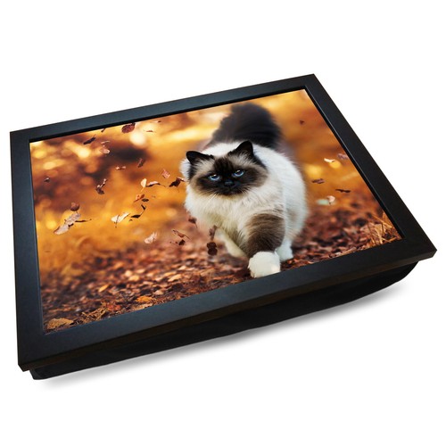 Deluxe cushioned lap tray - deluxe,