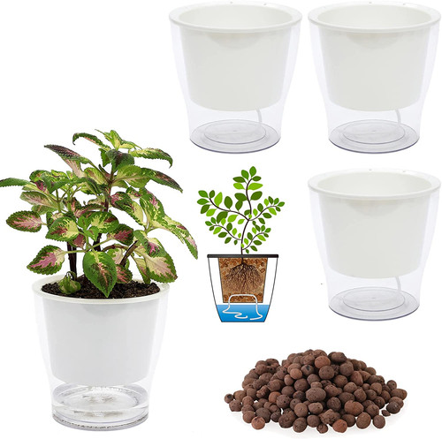 Packs large clear - 3,