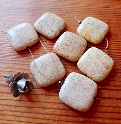 Fossil coral gemstone stone - coral,