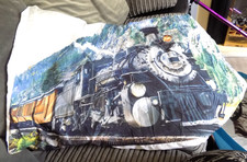 Single Quilt Cover And Pillow Case with Steam Train picture