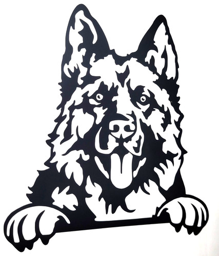 Gsd alsation shepherd dog - alsation,