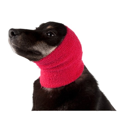 Show tech ear buddy - tech,
