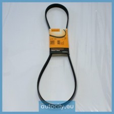 ContiTech 6PK1250 V-Ribbed