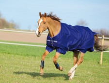 Horseware Amigo Hero 900 Mediumweight 200g Horse Turnout Rug | Blue | Outdoor