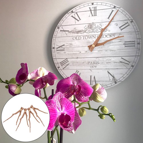 Sets wooden clock hands kit - sets,