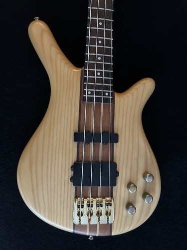 Electric bass guitar neck - guitar,