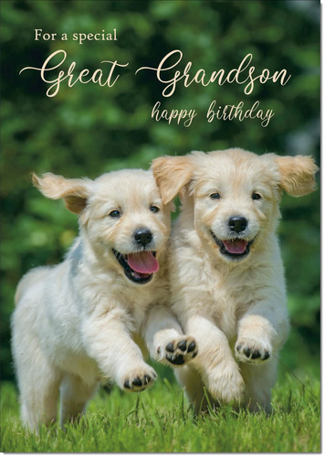 Doodlecards great grandson - doodlecards,