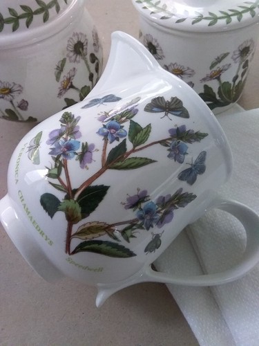 Vintage portmeirion botanic - vintage,