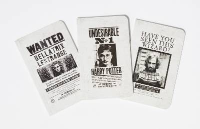 Harry potter wanted posters - harry,
