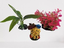 Goldfish Bowl Decor Starter