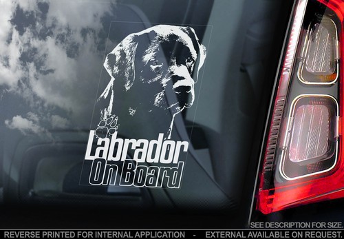Black labrador car - black,