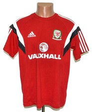 WALES NATIONAL TEAM 2013/2014